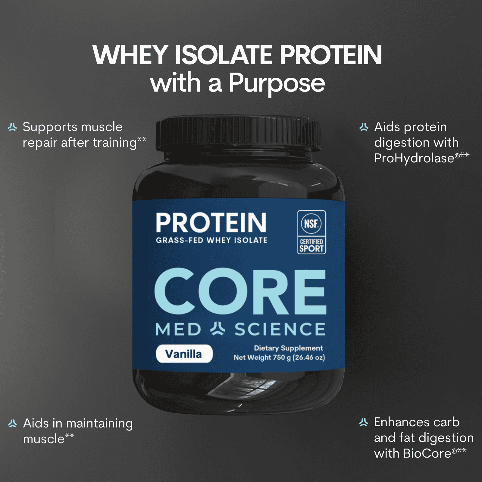 Vanilla Whey Protein Powder for Muscle Recovery Support