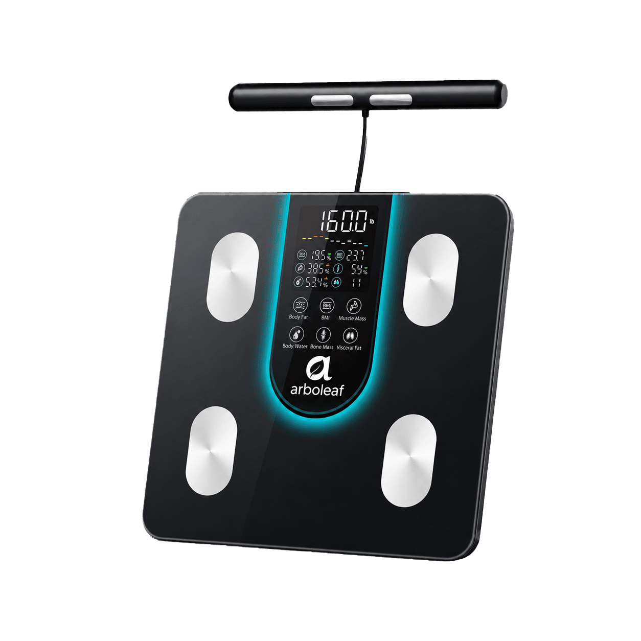 Segmental Smart Body Composition Digital Scale