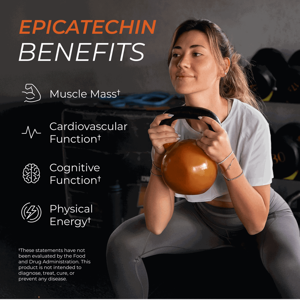 Epicatechin Muscle Performance and Recovery Support Supplement Capsules