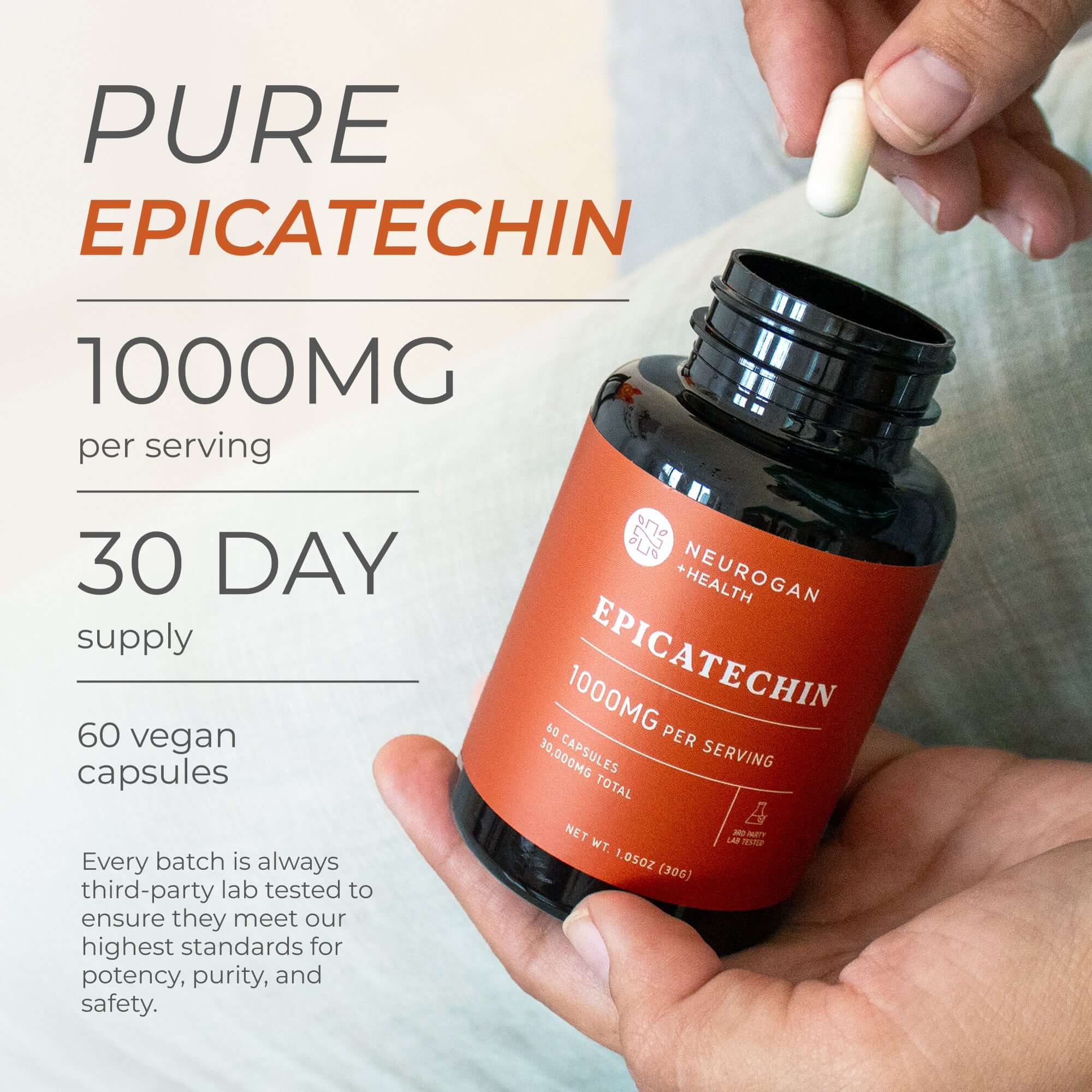 Epicatechin Muscle Performance and Recovery Support Supplement Capsules