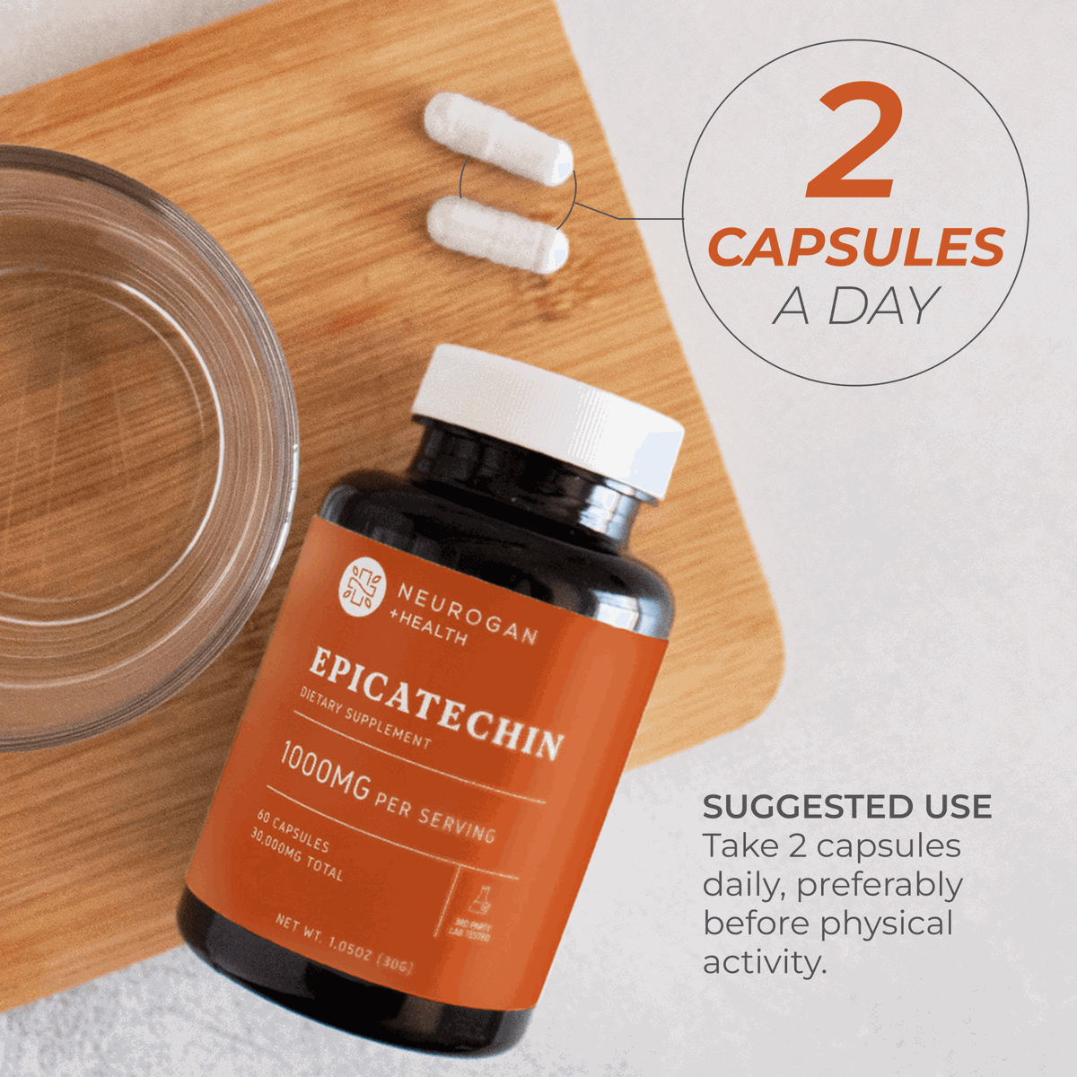 Epicatechin Muscle Performance and Recovery Support Supplement Capsules
