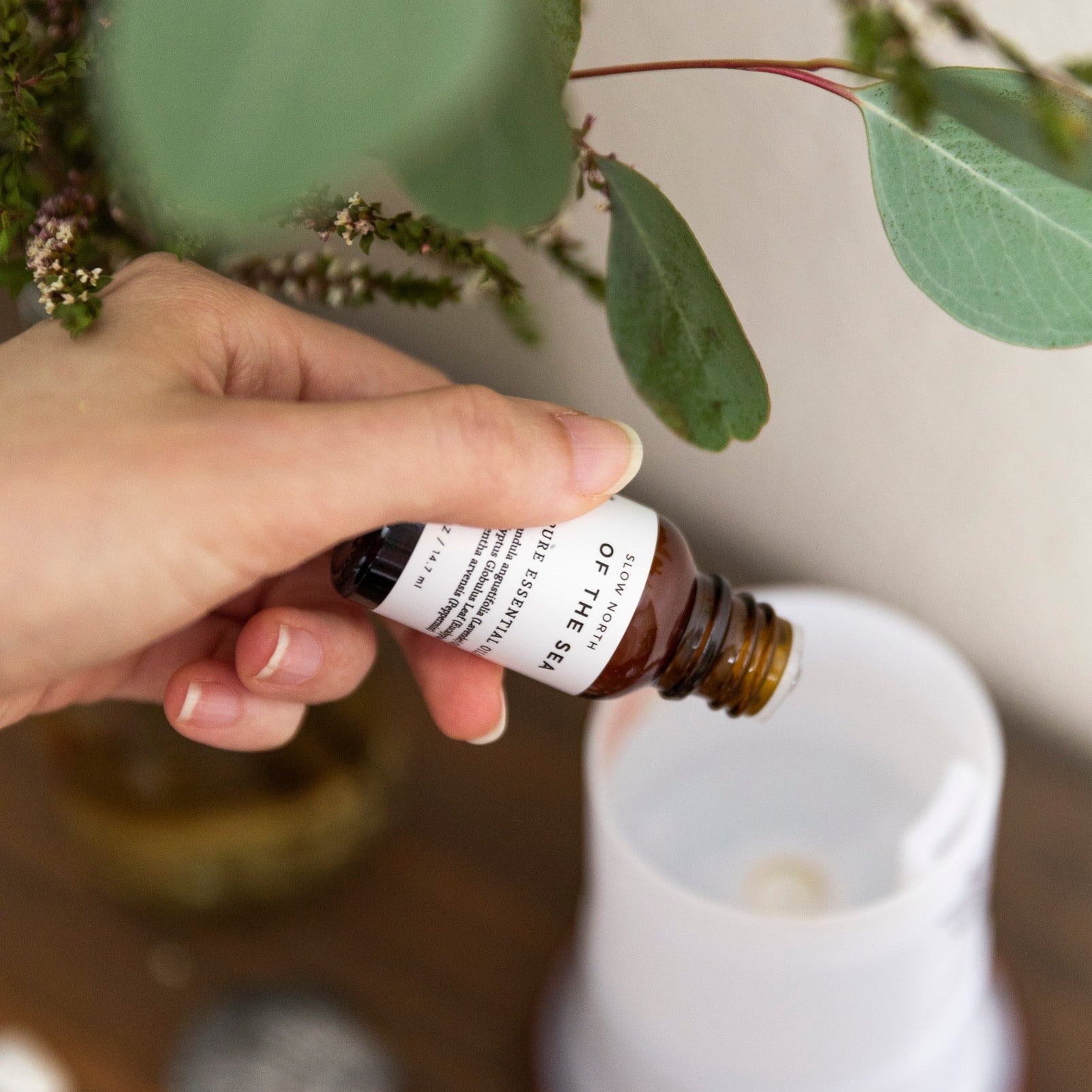 Essential Oil Diffuser Blends Aromatherapy Fragrance Oil Collection