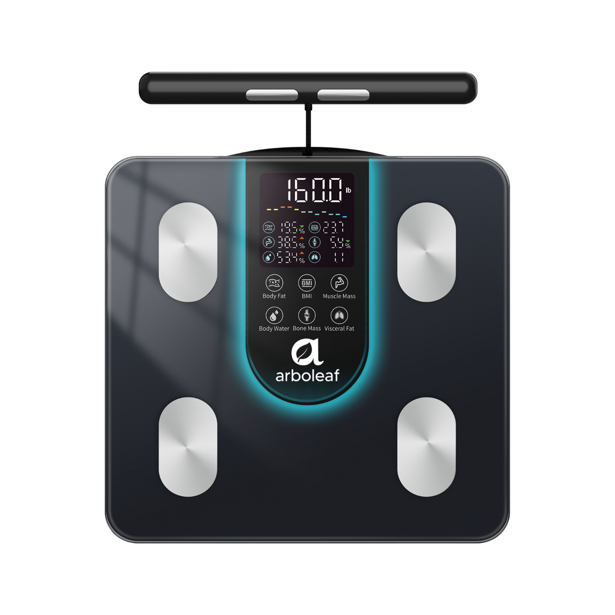 Segmental Smart Body Composition Digital Scale