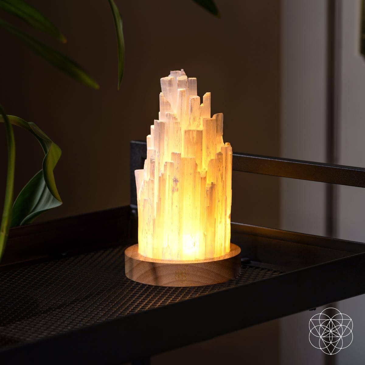 Natural Selenite Crystal Lamp for Peaceful Home Ambiance